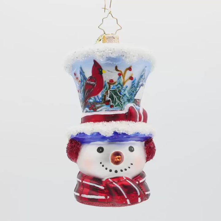 Snowy and the Cardinals