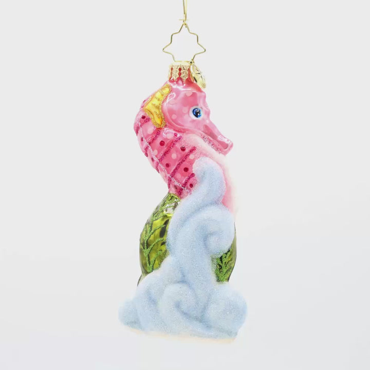 Sally Seahorse