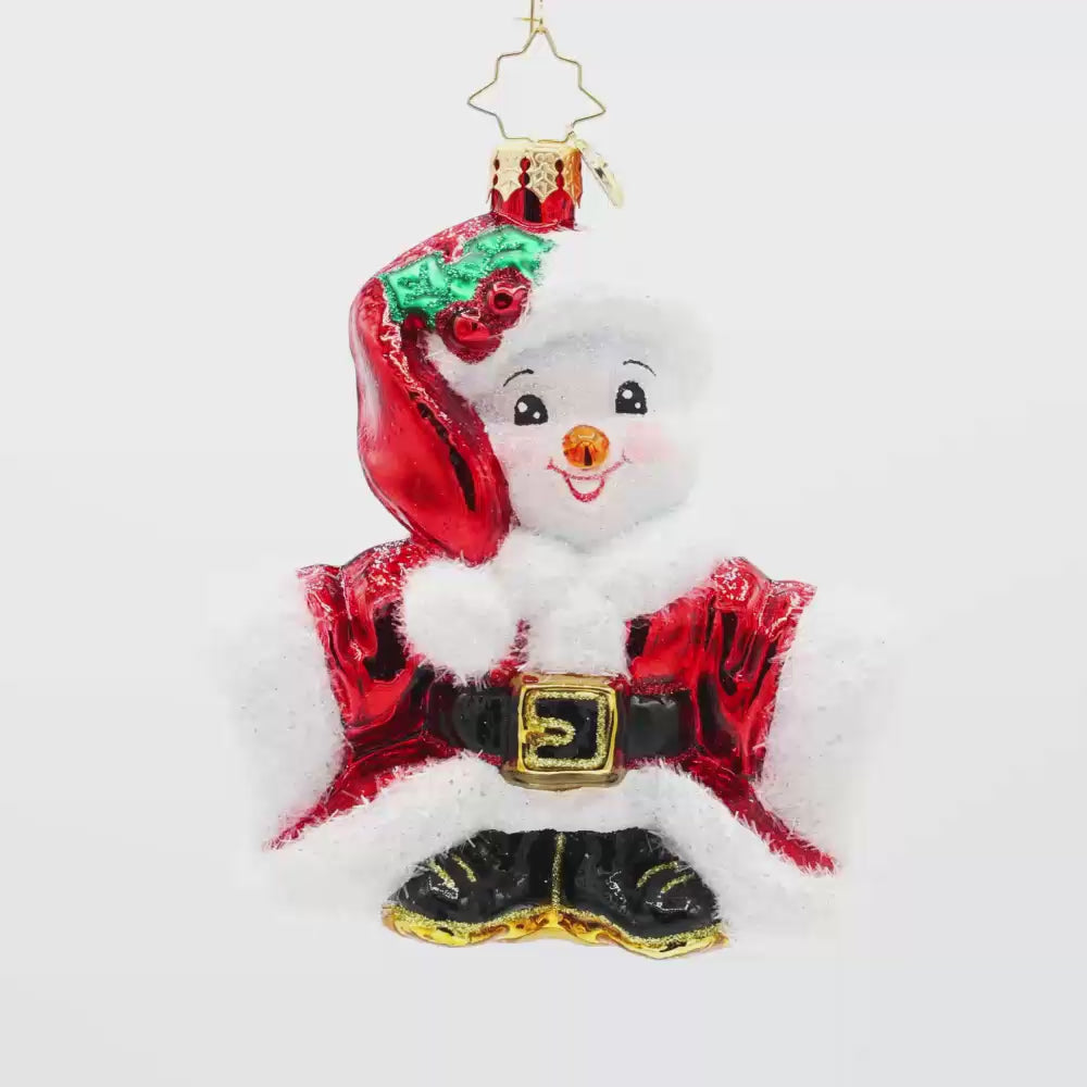 Santa's Snowy Stand-In