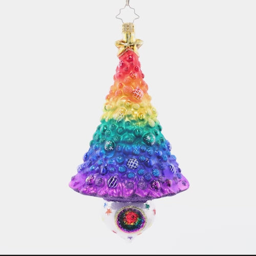 Rainbow Radiance Fir