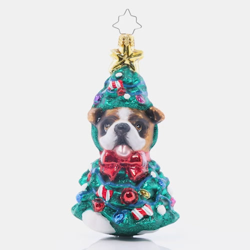 Bulldog Christmas Couture