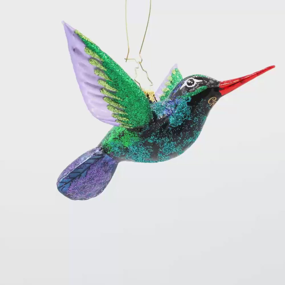 Happy Holiday Hummingbird