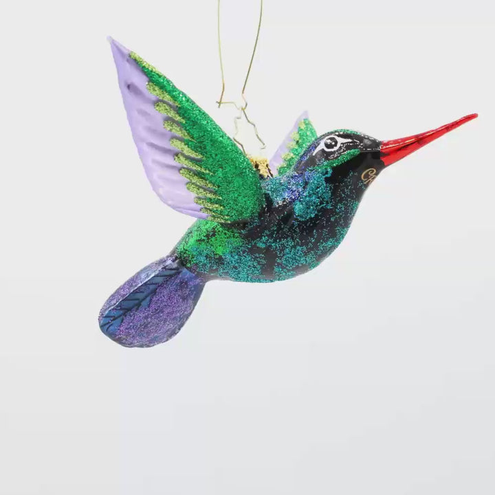 Happy Holiday Hummingbird