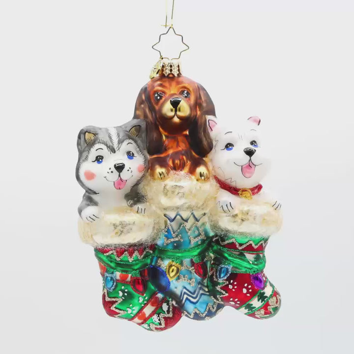 Puppy Presents