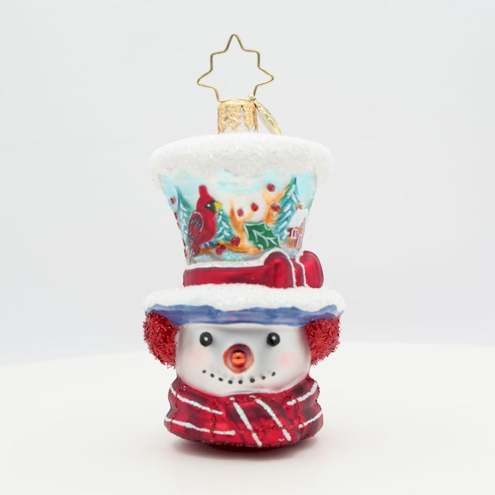 Snowy and the Cardinals Gem
