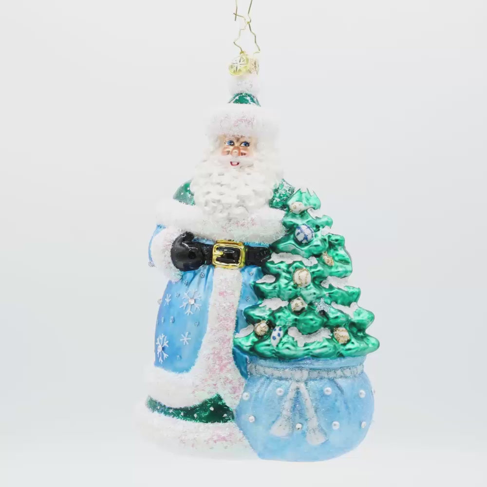 Christmas Enchanted Santa