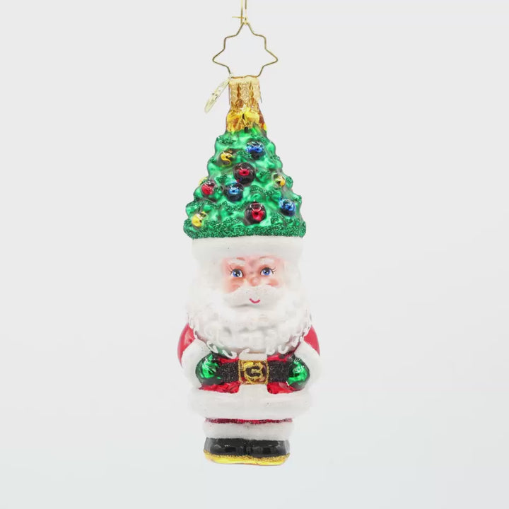 Treetop Tidings