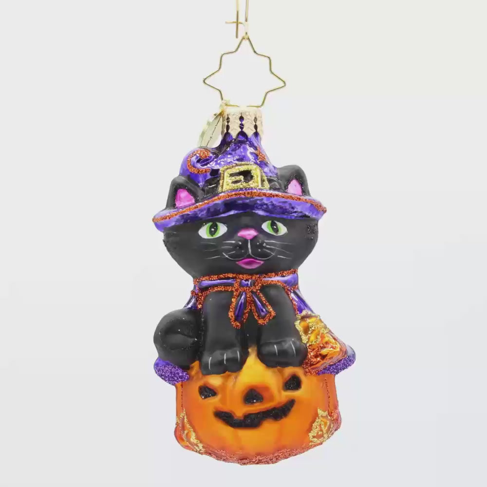 Witchy Whiskers Gem
