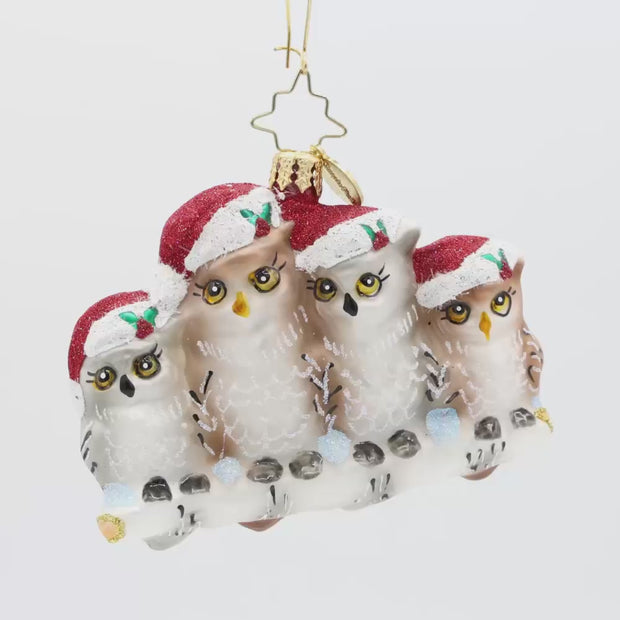 Its Owl In The Family Gem – Christopher Radko