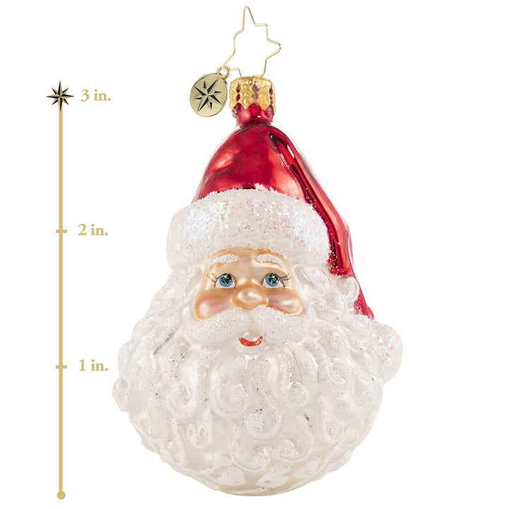 Ornament Description - Classic St. Nick Gem: Ho ho ho! Everyone's favorite jolly old elf is looking extra festive for the season. Complete with his signature merry dimples, rosy cheeks, and snow-white beard he is sure to delight this Christmas! This photo shows the ornament is about 3 inches tall.