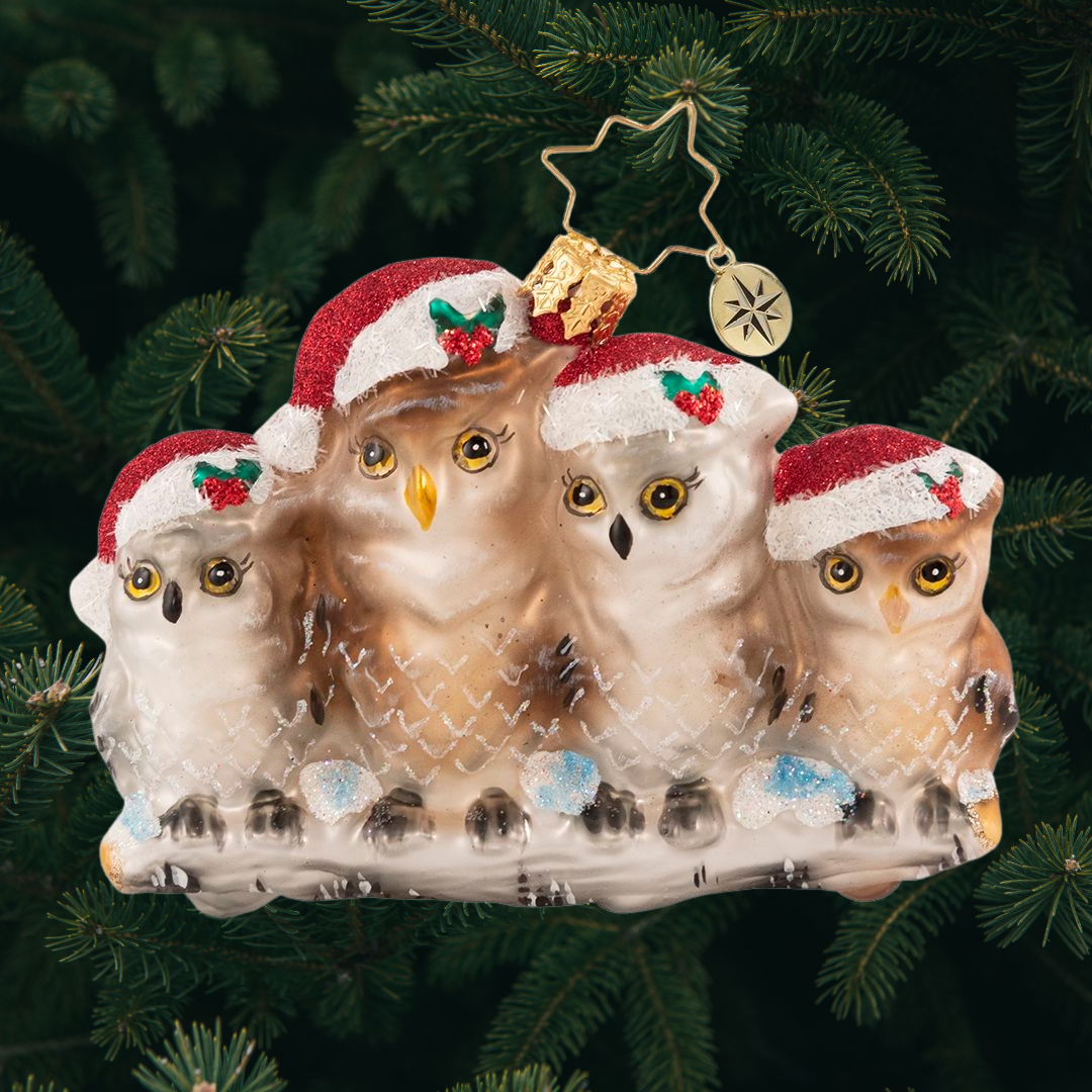 Ornament Description - It's Owl in The Family Gem: Happy hoo-lidays! This festive feathered family is cozied up to keep warm on a snowy winter's day.