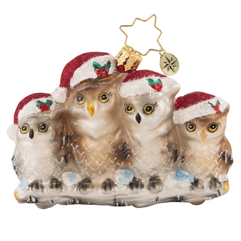Front - Ornament Description - It's Owl in The Family Gem: Happy hoo-lidays! This festive feathered family is cozied up to keep warm on a snowy winter's day.