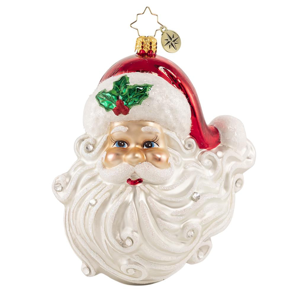 Front - Ornament Description - Jolly With a Dash of Holly: Hello Handsome! From the snow-white beard to his rosy cheeks and twinkling blue eyes, Santa sure is looking his best this year!