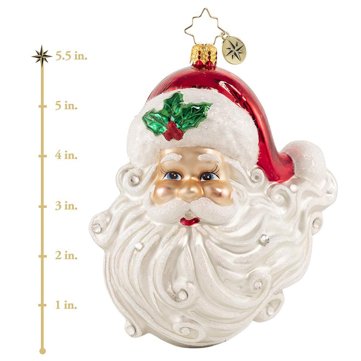 Ornament Description - Jolly With a Dash of Holly: Hello Handsome! From the snow-white beard to his rosy cheeks and twinkling blue eyes, Santa sure is looking his best this year! This photo shows the ornament is about 5.5 inches tall. 