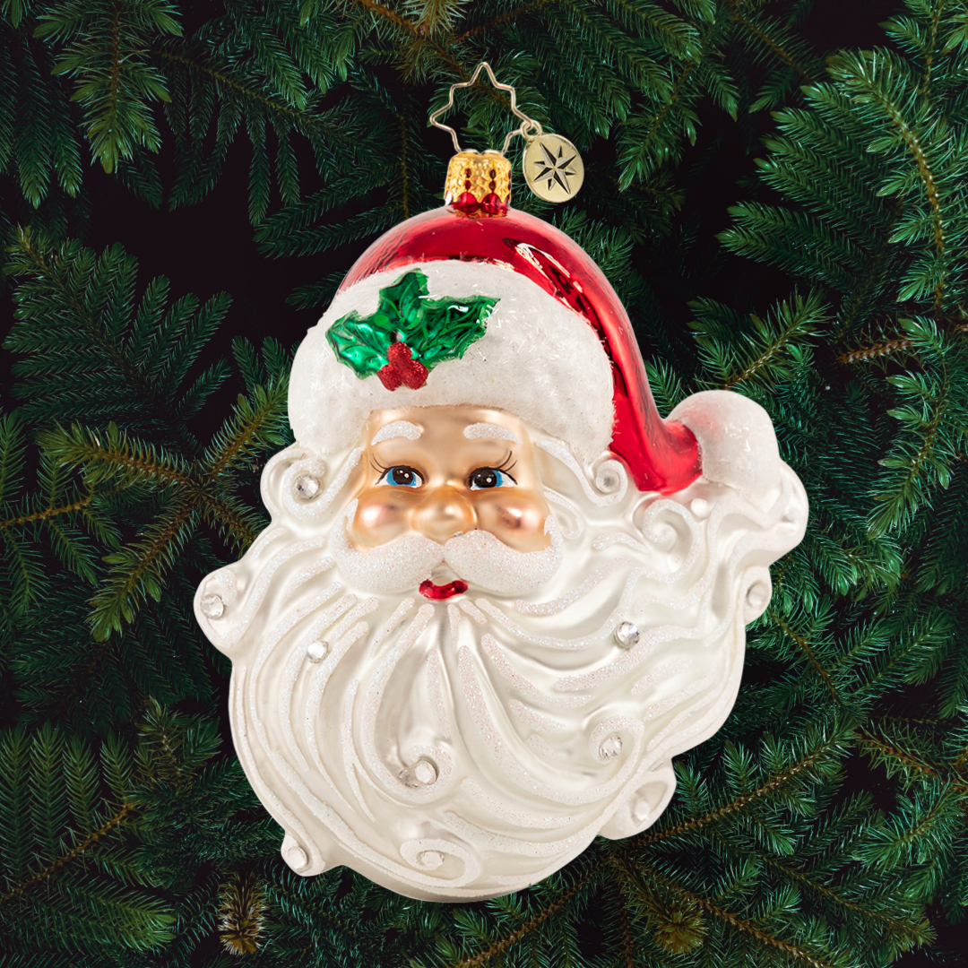Ornament Description - Jolly With a Dash of Holly: Hello Handsome! From the snow-white beard to his rosy cheeks and twinkling blue eyes, Santa sure is looking his best this year!