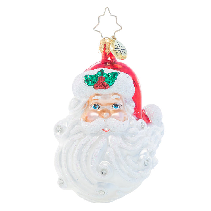 Ornament Description - Jolly With a Dash of Holly Gem: No Christmas is complete without Santa! This smiling Santa face is the perfect classic addition to your ornament collection.