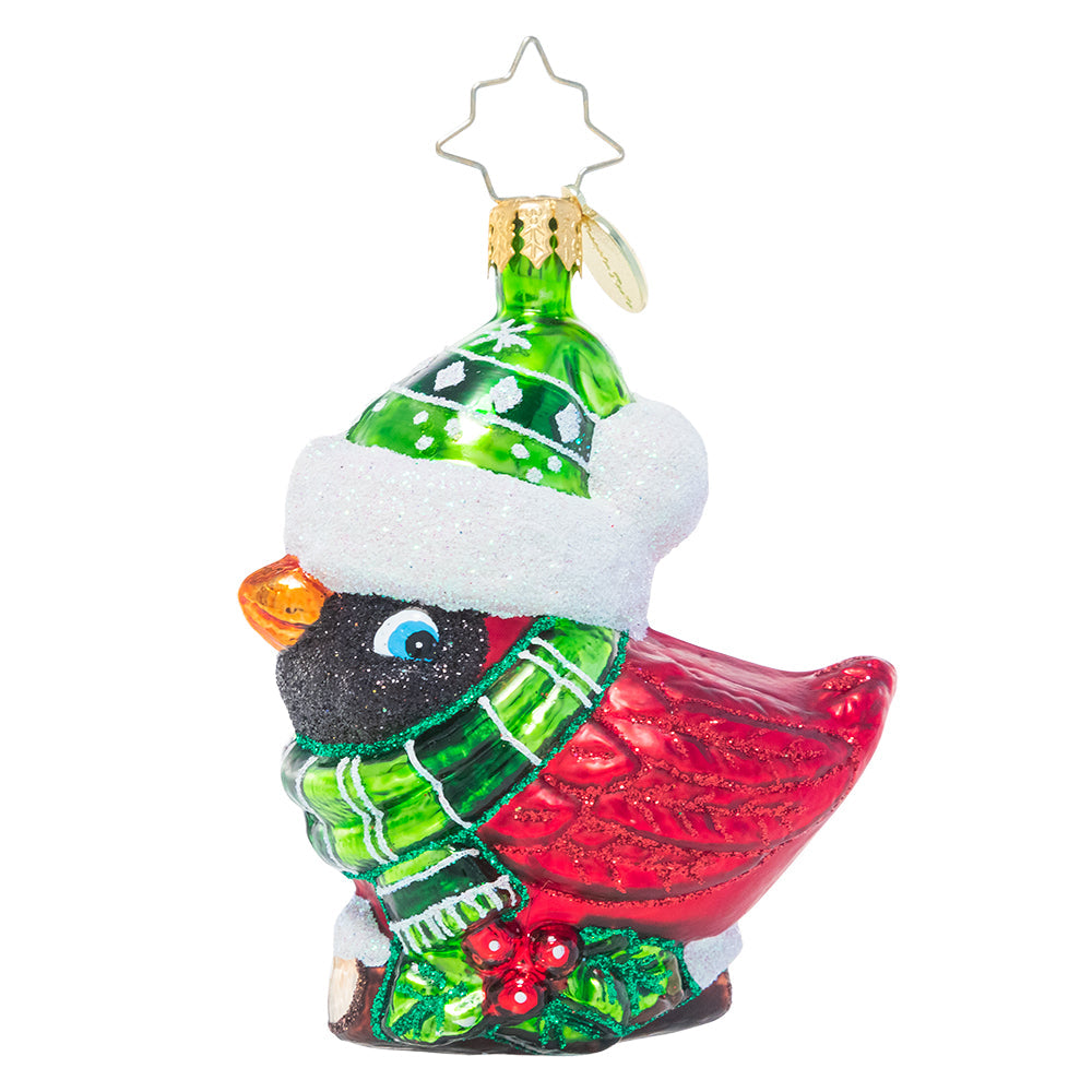 Front - Ornament Description - Bundled-Up Feathered Freind Gem: This little birdie forgot to fly south for the winter, so he's bundling up extra warm for the holiday season! With his ruby-red feathers and bright green scarf and hat, he looks right at home in Christmas town.