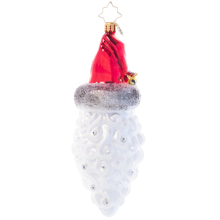 Back - Ornament Description - Simply Stunning Santa: This traditional glass Santa Claus ornament is the perfect complement to your classic Christmas décor. Hand-painted in rich colors and finished with sparkling rhinestones, this luxe piece is sure to stand out on any tree.