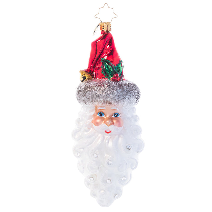 Front - Ornament Description - Simply Stunning Santa: This traditional glass Santa Claus ornament is the perfect complement to your classic Christmas décor. Hand-painted in rich colors and finished with sparkling rhinestones, this luxe piece is sure to stand out on any tree.
