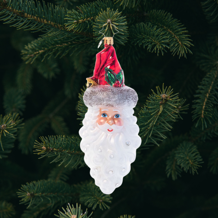 Ornament Description - Simply Stunning Santa: This traditional glass Santa Claus ornament is the perfect complement to your classic Christmas décor. Hand-painted in rich colors and finished with sparkling rhinestones, this luxe piece is sure to stand out on any tree.