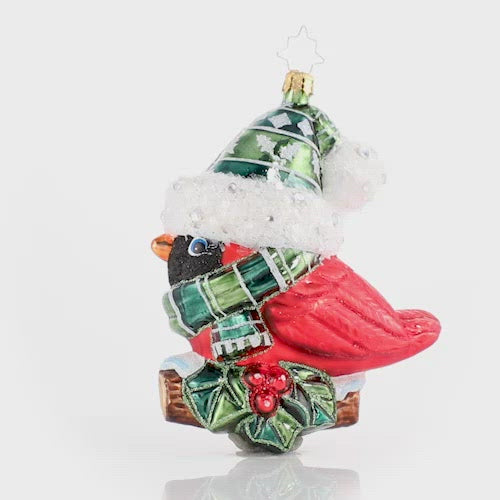 Video - Ornament Description - Bundled-Up Feathered Friend: When temperatures drop, every forest creature must find their own way to keep warm. This creative cardinal was lucky to come across this pint-sized set to bundle up--perched high on a holly branch, he shows off his festive finds for all to see.