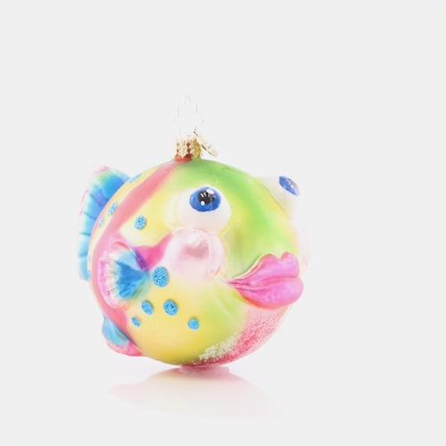 Video - Onament Description - Playful Puffer: Pucker up, puffer fish! Painted with vibrant sorbet hues, this playful sea creature is sure to spread joy throughout the holiday season. This video shows the ornament spinning slowly. 