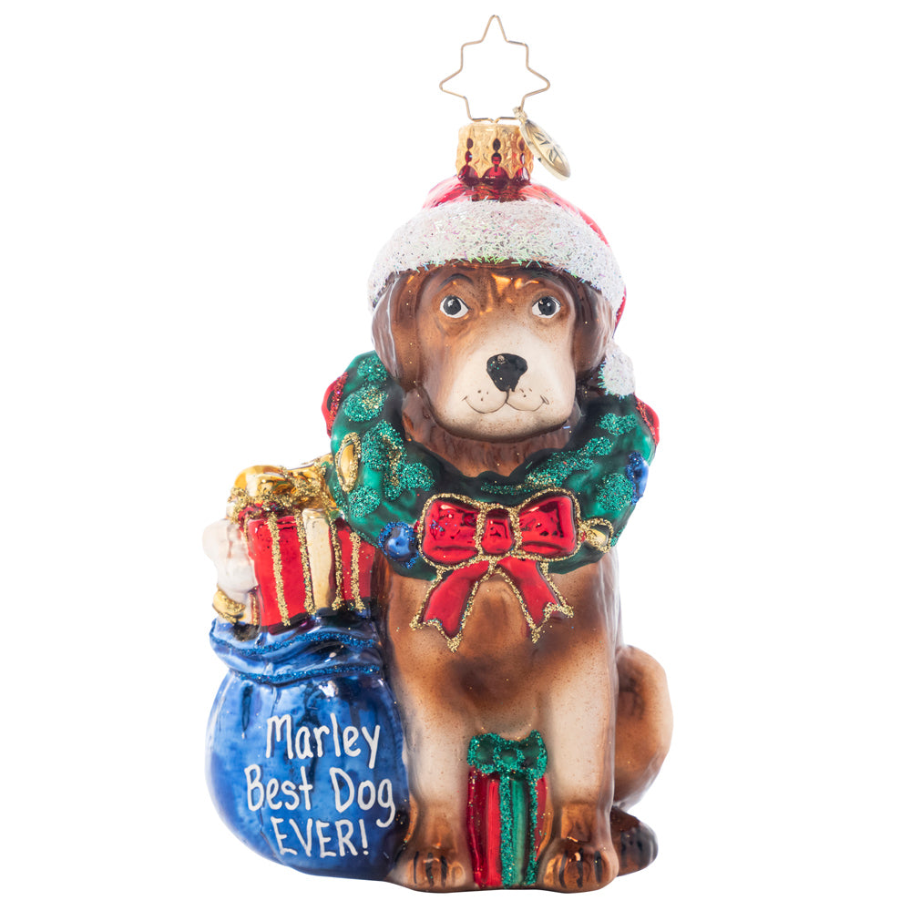 Ornament Description - Noble Brown Lab: Now you can personalize an ornament for your favorite pup! This brown lab is ready to celebrate Christmas with the family! Kind and loyal this lab is enthusiastic to play the game fetch and go swimming on this holiday full of fun and family! Note: Please allow up to one month (on top of shipping time) for our elves to personalize your ornament.