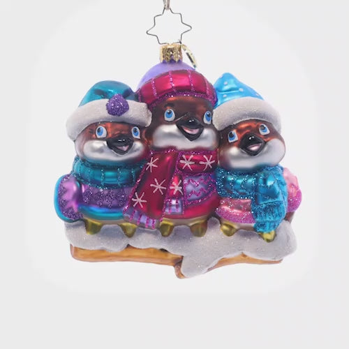 Video - Ornament Description - Bundled Up Birdies: A cluster of cute, cozied-up chickadees show that birds of a feather really do flock together.