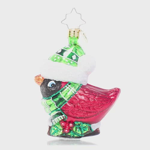 Video - Ornament Description - Bundled-Up Feathered Freind Gem: This little birdie forgot to fly south for the winter, so he's bundling up extra warm for the holiday season! With his ruby-red feathers and bright green scarf and hat, he looks right at home in Christmas town.