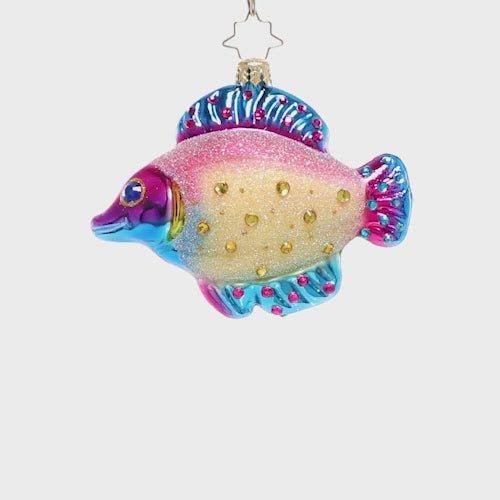Ornaments - Description: Just keep swimming! Think of your favorite snorkeling memories and appreciate the unique rainbow of sea life in the tropics with this bold and bejeweled tropical fish ornament.