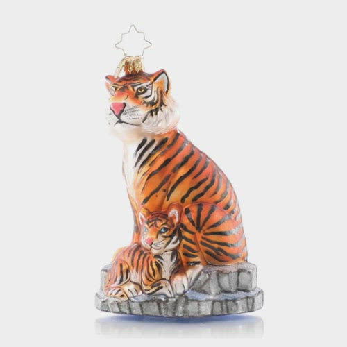 Video - Ornament Description - The Coolest Cats: Tigers live in diverse habitatsâ€”from rain forests, grasslands, savannas and mangrove swampsâ€”but this pair of majestic tigers stun even in the winter snow. Tigers are under threat from human activities such as poaching, illegal trade, and habitat destruction. A percentage of the sales from this ornament will benefit global initiatives to combat tiger trafficking. This video shows the ornament spinning slowly. 