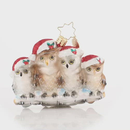 Video - Ornament Description - It's Owl in The Family Gem: Happy hoo-lidays! This festive feathered family is cozied up to keep warm on a snowy winter's day. This video shows the ornament slowly spinning. 