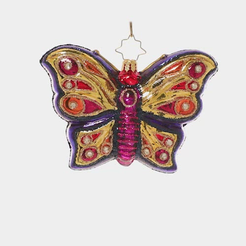 Video - Ornament Description - Wings Of Gold: Floating on gilded wings, this opulent jewel-toned butterfly ornament is as beautiful as it is delicate. Celebrate a unique miracle of nature's beauty with this eye-catching piece. This video shows the ornament spinning slowly. 
